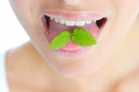 Everything You Need to Know About Halitosis